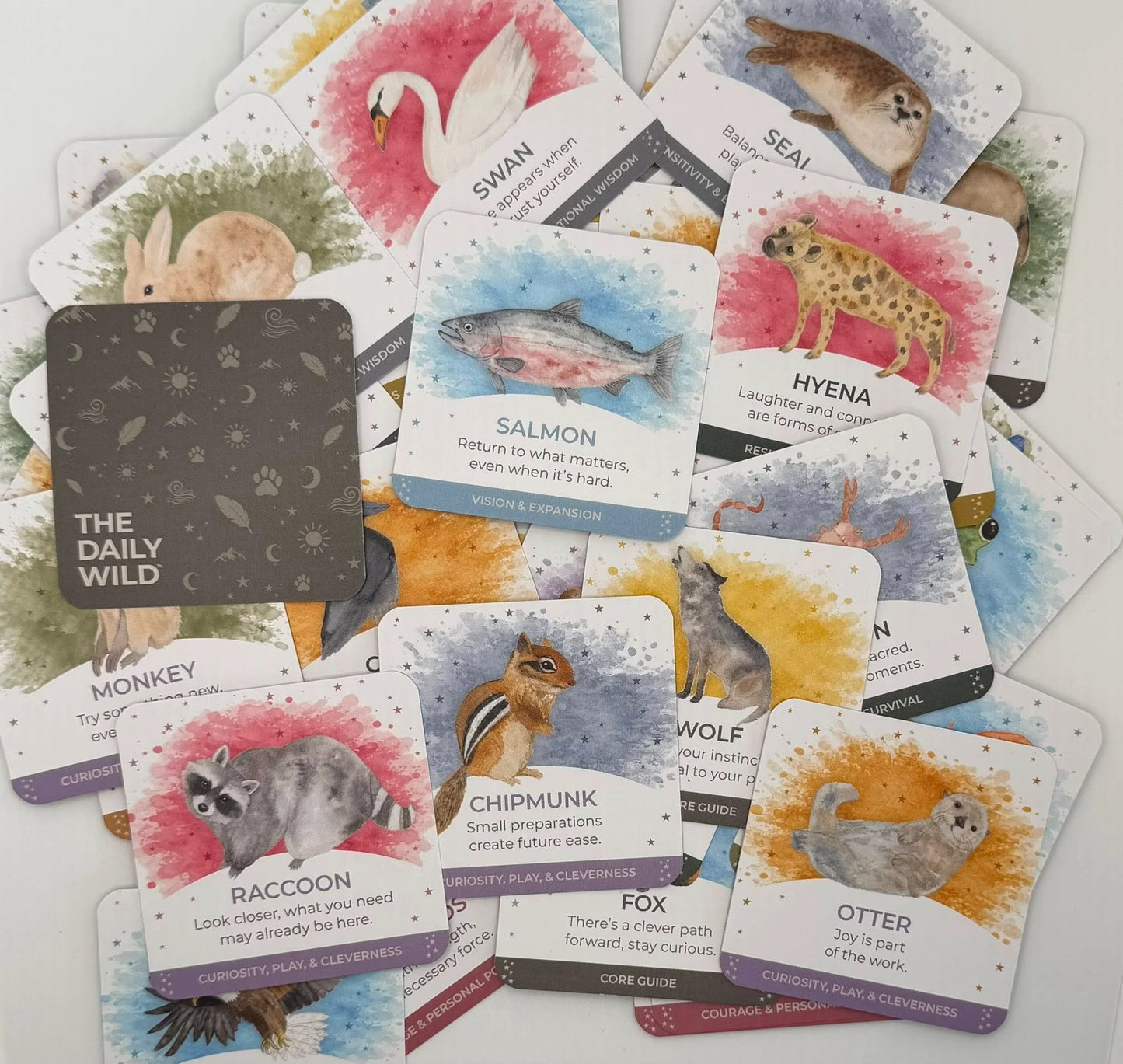 The Daily Wild Daily Inspiration Cards